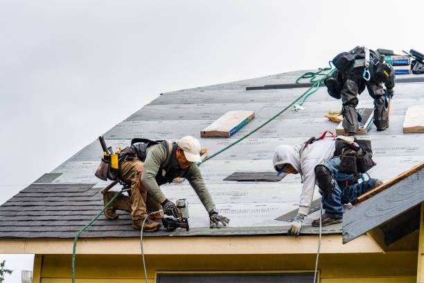 Professional Gutter Installation technician working in Wills Point, TX